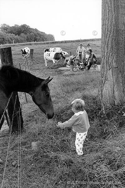 petite fille et un cheval - little girl and a horse